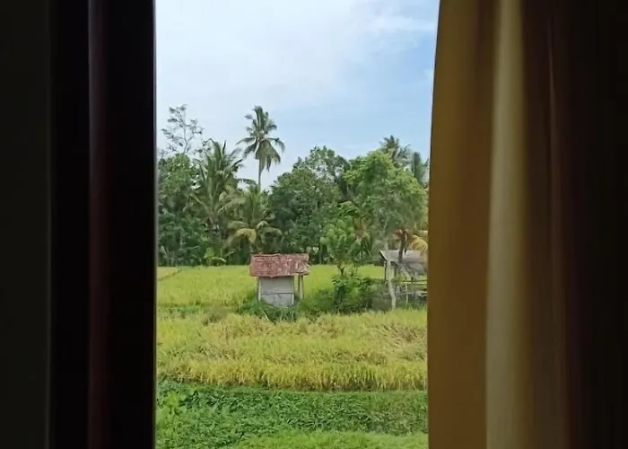 Wayan Garden Guest house 2*