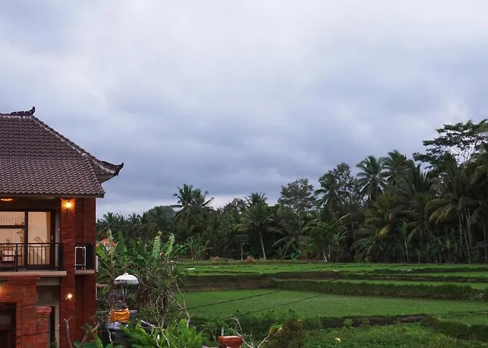 Guest house Wayan Garden 2*
