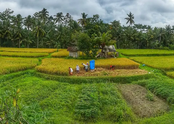 Wayan Garden 2* Ubud (Bali)