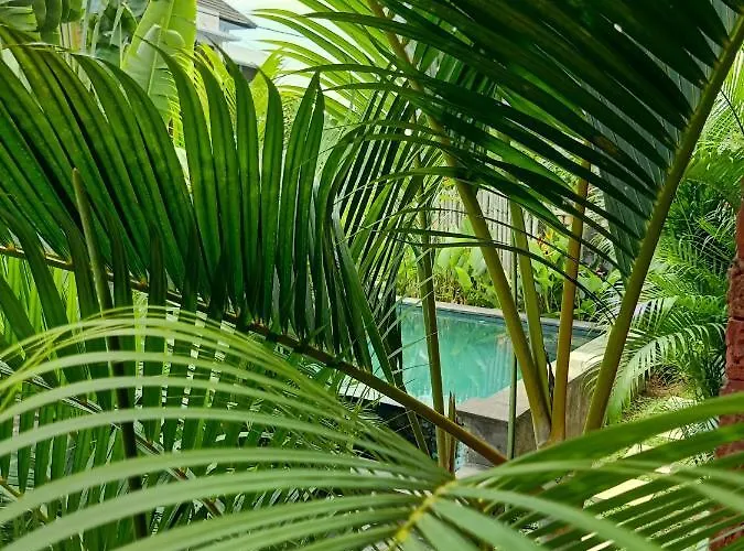 Wayan Garden Guest house